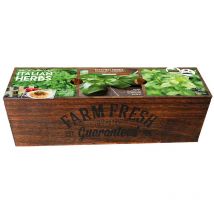 Kit prêt à pousser - Herbes de cuisine Italiennes