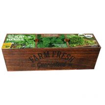 Kit prêt à pousser - Herbes à soupes