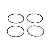 Kit Segmenti quadro Kohler diametro 95.3 mm Compatibile - 011836
