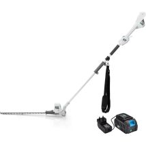 40V Cordless Long Reach Hedge Trimmer, Pole Hedge Cutter 46cm Cutting Length Adjustable Head with Shoulder Strap, Incl. 1pc 2.0Ah Battery and Charger