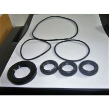 Kit tenute olio pompa idropulitrice Annovi Reverberi 42170 1018 1020 1291