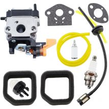 Kit Vergaser 985893001 für rotative Ryobi 985893001 308028001 308428002 985892001