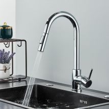 Kitchen Taps with Pull Out Spray Zamery Kitchen Sink Mixer Tap 360° Swivel, Kitchen Mixer Tap with 2 Spary Modes, Mixer Tap for Kitchen, Kitchen Tap