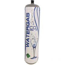 Kleine 850g CO2-Flasche für Wasserspender – Stahl – 425 x 70 mm – Trinkbrunnen für Katzen