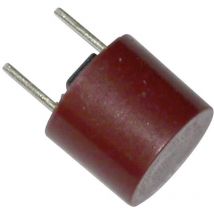 Eska - 887121-1 887121 Kleinstsicherung Radial Bedrahtet Rund 2.5 A 250 V Träge -t- 1 St.