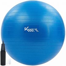 Gym ball 65 cm training ball with air pump sitting ball office anti-burst ball for fitness, yoga, gymnastics, core training pezziball yoga ball