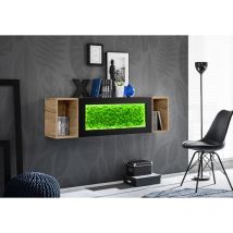 Komodee - Vitrine avec Mousse Verte Trento, Wotan/Wotan, Largeur 140 cm x Hauteur 40,5 cm x Profondeur 35 cm, Eclairage led, 2 rangements Ouverts,