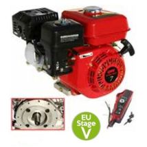 Kompletter Launtop Benzinmotor mit konischer horizontaler Welle 208cc 7 ps