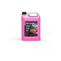 Konzentrierter Eisreiniger, Sommer und Winter, 20deg, 5L Aexalt LG143