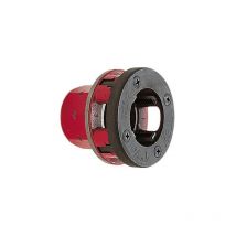 Kopf mit Kamm bspt rechts 40 x 49 (1'1/2)