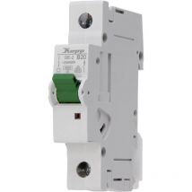 Kopp - Disjoncteur 20 a caractéristique b 1 pôle 10kA