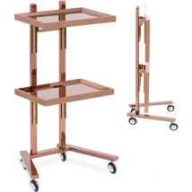 Kosmetikwagen roségolden 2 klappbare Ablagen 10 kg Arbeitswagen Salon-Trolley