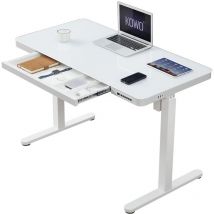 KOWO Tischgestell Elektrisch Höhenverstellbar Memory-Funktion, mit Glas Tischplatte, Arbeitstisch, Bürotisch, 120 x 60 x 75 bis 120 cm, Mobilo-Serie,