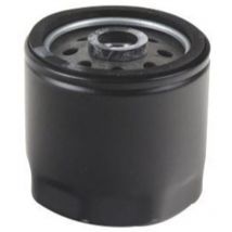 Motor-Kraftstofffilter kompatibel acme AD118 - AD121 - ADN37 - ADN37 w