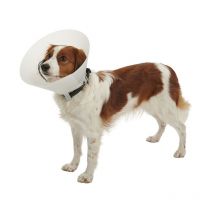 Kruuse - Collar Isabelino Opaco buster classic, 20 cm 15 a 25 Kg, 1 ud