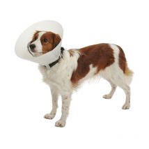 KRUUSE Collar Isabelino Opaco BUSTER CLASSIC, 30 cm Perros 25 a 35 Kg, 1 ud