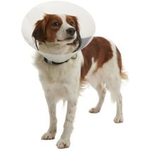 Kruuse - Collar Isabelino Transparente Buster Clic, 12,5 Cm, Perros De 5 A 10 Kg, 10 Uds