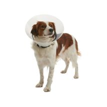 Kruuse - Collar Isabelino Transparente buster clic, 15 cm, Perros de 10 a 15 Kg, 10 Uds