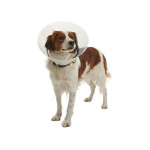 Kruuse - Collar Isabelino Transparente Buster Clic, 7,5 Cm Perros De 1 A 3 Kg, 1ud