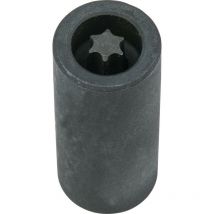 3/8' Stecknuss für Torx-Schrauben an der Bremsscheibe, T50