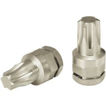 MICRO Embouts, TORX, T20