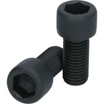 Paire de vis M16 x 35 mm