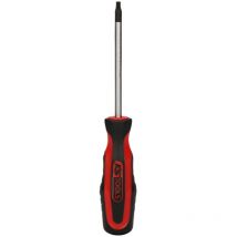 ERGOTORQUEplus Tournevis, Torx, T25