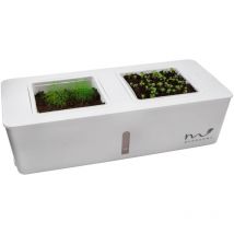 Küchen Kräutergarten Indoor Kräuter Gewächshaus selbstbewässernd Kräutertopf Set