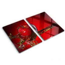 Glasschneideplatten - Schneidebrett aus Glas - Herdabdeckplatten - Gehärtetes Glas – 2x40x52 cm (2er Set) - Apfel und Wasser