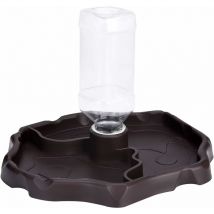 Bol d'eau de tortue de plat d'eau de reptile (marron)-Fei Yu