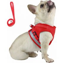Corde de traction de type gilet pour animaux de compagnie (bleu L)-Fei Yu