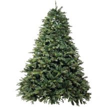 Clifford' Weihnachtsbaum H.210 cm - Basis 162 cm / 2175 Äste