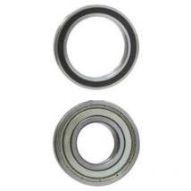 Kugellager 6309-2RS 25 mm dick für Gartengeräte