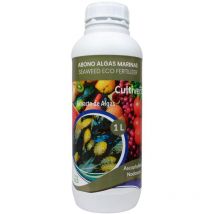 Kultiver kolygische Lychidee -Seealgen 1 l