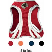 Harnais Hiking réfléchissant rouge : Taille xs