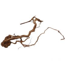 Aquaristikwelt24 - l Drachen Wurzel Nr.1096 Holz Deko Aquascaping