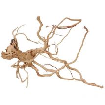 L Drachen Wurzel Nr.2212 Holz Deko Aquascaping