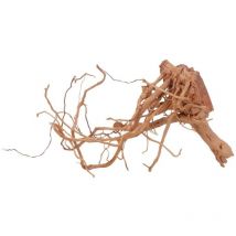 Drachenwurzel 67x42x46 cm – Aquarien-Deko – Aquascaping – Holz – Asien – Unikat