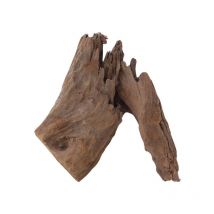 Aquaristikwelt24 - l Mangrovenwurzel Nr.9755 Holz Deko Aquascaping