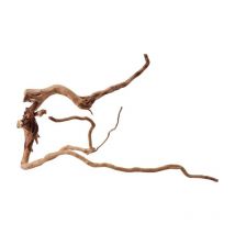 L Moorkienwurzel Nr.9999 Fingerwurzel Echtholz Deko Aquascaping