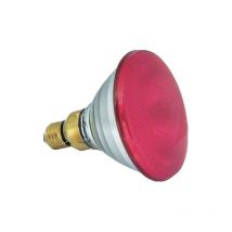 La lampe infrarouge à économie d'énergie vous permet de chauffer votre animal de compagnie en toute sécurité.