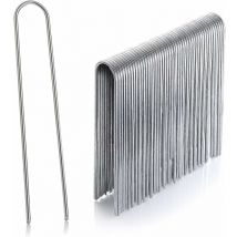 Rosemary - LaBlanc – 30 Stück verzinkte Edelstahl-Befestigungspfähle H150 mm, L25 mm, Ø2,9 mm