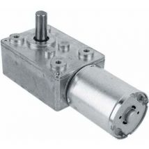 Moteur Électrique de Réduction Réversible à Couple Élevé Boîte de Vitesses Motoréducteur à Engrenage à Vis sans Fin 12V 150RPM Argent - Lablanc