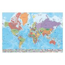 L'affiche carte du monde est physique-politique