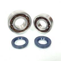 Lager Oder Dichtung Spi Motor Rsm Für Auto Neu