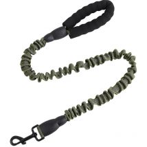 Laisse extensible réfléchissante pour chien, laisse élastique pour dressage de chiens