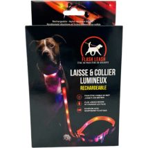 Laisse et Collier lumineux pour chien Venteo led Rechargeable usb - Longue autonomie - Résistant à l'eau - 3 modes d'éclairage - Réglable pour