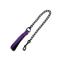 Laisse pour Chien Gloria Classic 2mm x 120 cm Violet