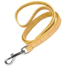 Laisse pour chien Gloria oasis 1,5 x 100 cm jaune