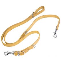 Laisse pour chien Gloria oasis multiple 2.1 x 200 cm jaune